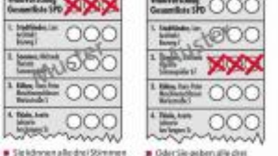 Bespiel:Erläuterung zum Wahlverfahren (1)